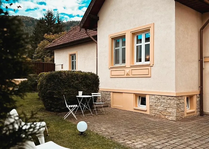 Wonderfull Cozy Villa - Old Town Center Brasov