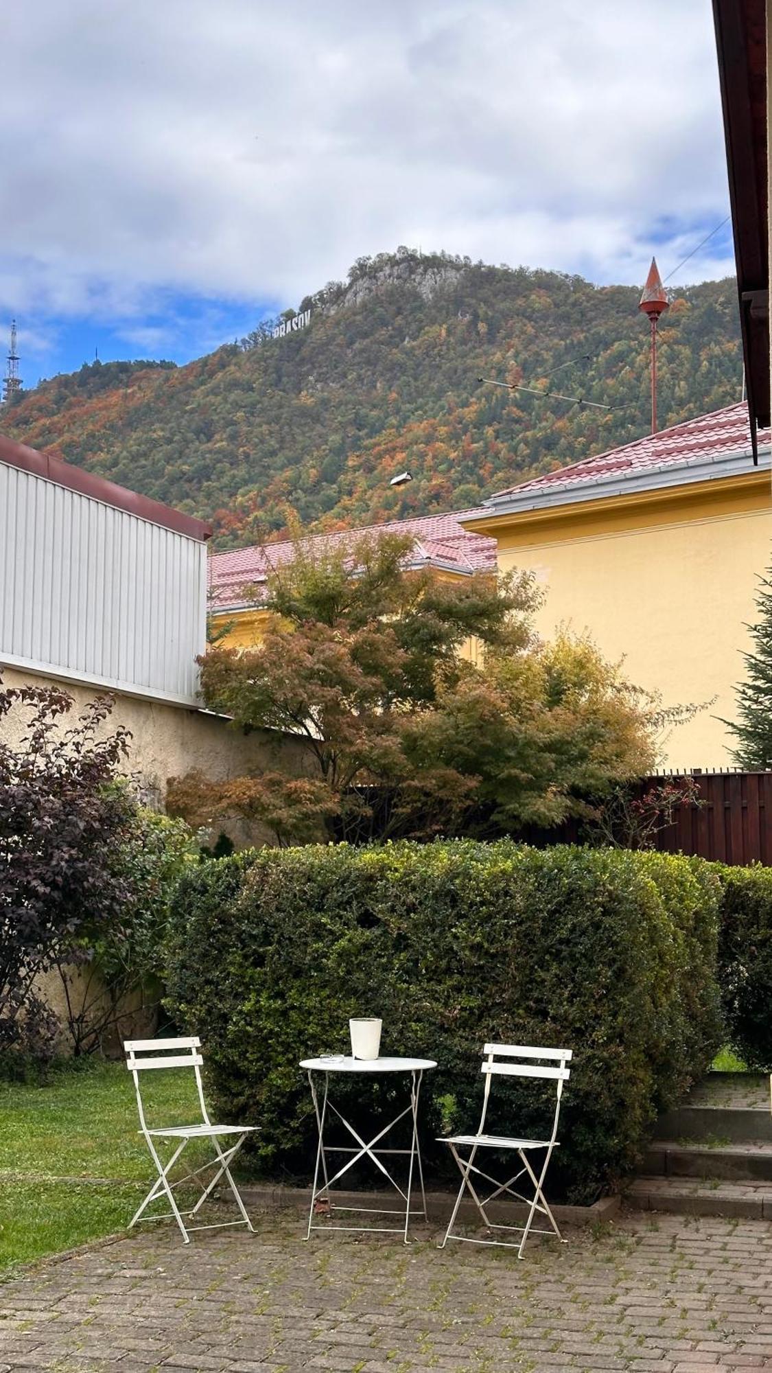 Wonderfull Cozy - Old Town Center